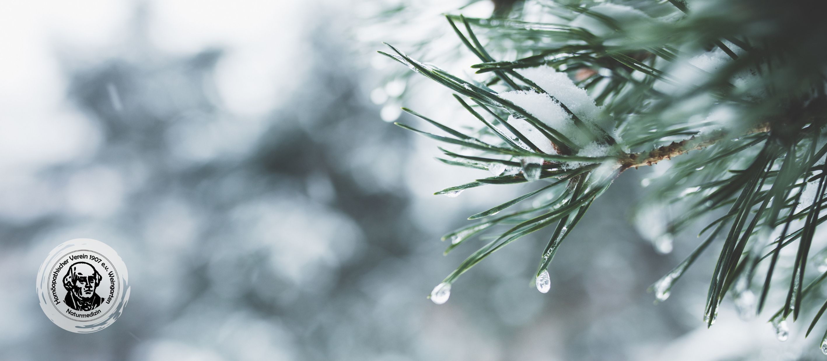 Winter HV